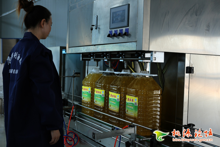 南宫NG28,油茶种植生产加工销售,植物油种植生产加工销售