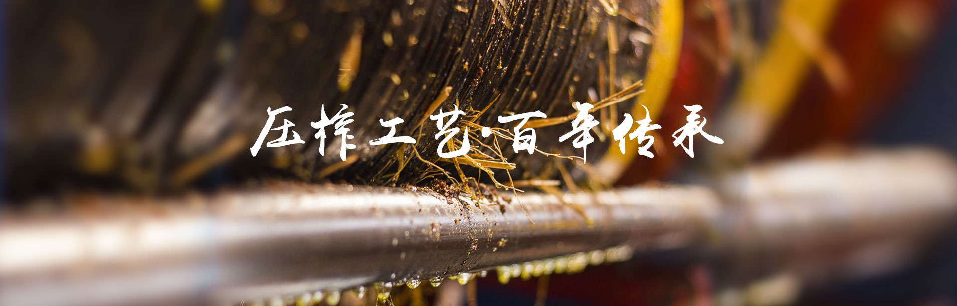 南宫NG28_油茶种植生产加工销售|植物油种植生产加工销售 南宫NG28_油茶种植生产加工销售|植物油种植生产加工销售