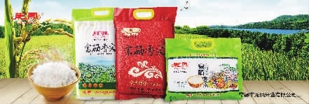 南宫NG28,油茶种植生产加工销售,植物油种植生产加工销售 南宫NG28,油茶种植生产加工销售,植物油种植生产加工销售