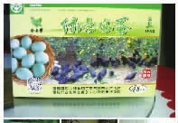 南宫NG28,油茶种植生产加工销售,植物油种植生产加工销售 南宫NG28,油茶种植生产加工销售,植物油种植生产加工销售
